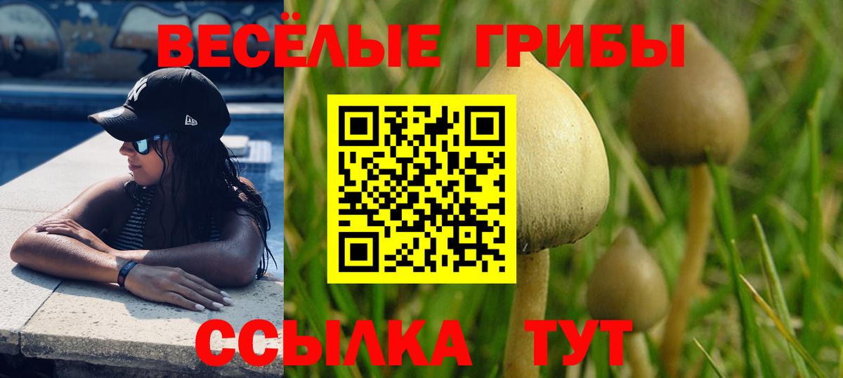 Галлюциногенные грибы GOLDEN TEACHER  даркнет сайт  Вход с VPN  Алапаевск  Галлюциногенные грибы мухоморы 
