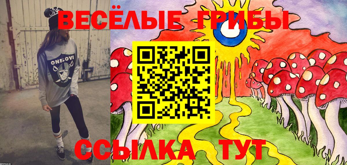 Галлюциногенные грибы Psilocybe Алапаевск